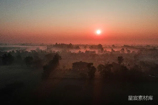 高清摄影 夕阳下的树影轮廓