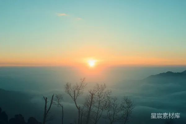 高清摄影 夕阳下的树影轮廓