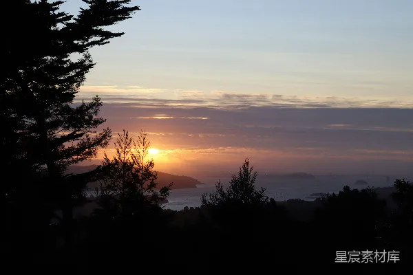 高清摄影 夕阳西下，映照着大海和树木。