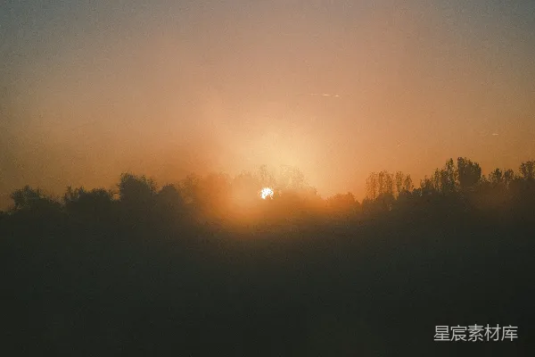 高清摄影 远处的树木笼罩在落日的余晖中