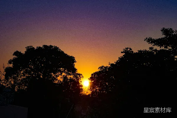 高清摄影 夕阳落在了一些树后。