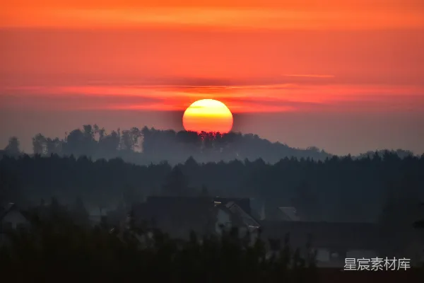 高清摄影 夕阳西下，景色落在一片林区之上。