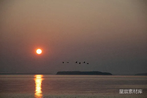 高清摄影 夕阳下海面上鸟的剪影