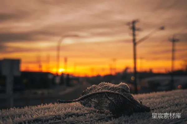 高清摄影 夕阳洒在一片草地上。