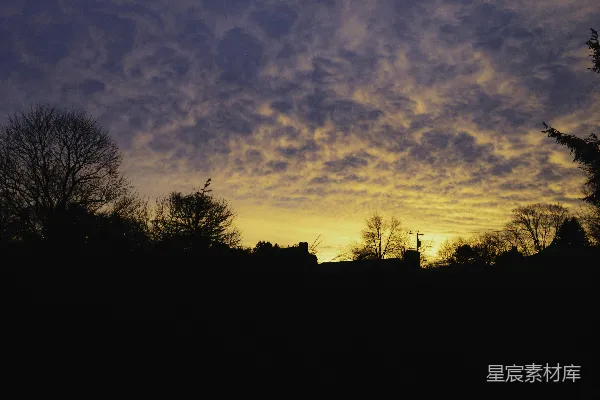 高清摄影 夕阳落在一些树的后面