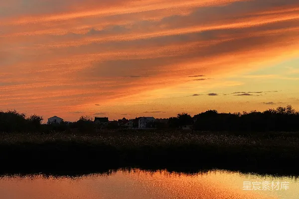 高清摄影 夕阳下树木的轮廓映衬在水体旁