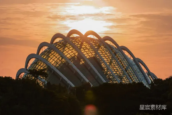 高清摄影 建筑物附近的树木