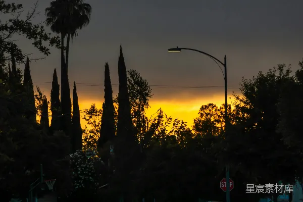 高清摄影 夕阳下的绿树与路灯