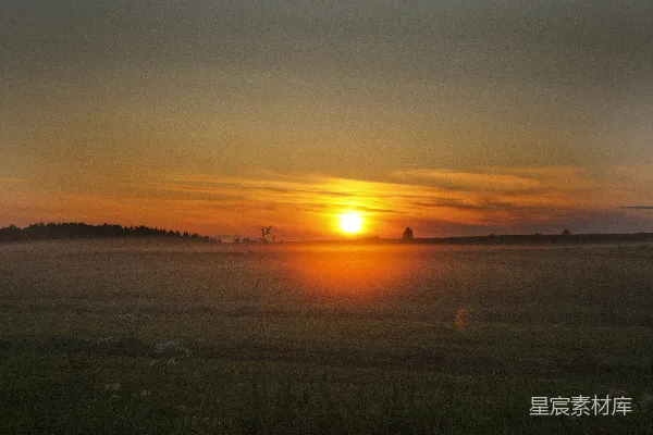 高清摄影 夕阳下的绿草地
