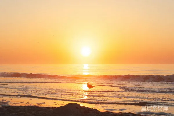 高清摄影 夕阳下海浪拍打海岸