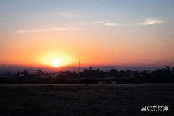 高清摄影 夕阳下的树影轮廓