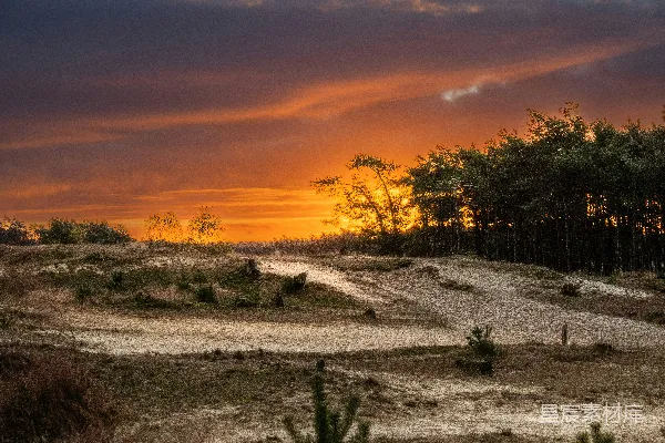 高清摄影 有树的风景和夕阳