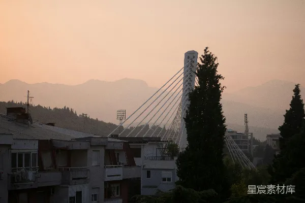 高清摄影 城市上空飞翔的一只鸟，背景有一座桥。
