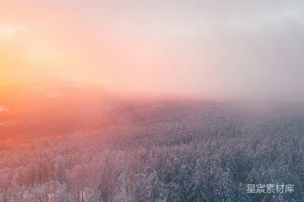 高清摄影 雪林中太阳正在落山