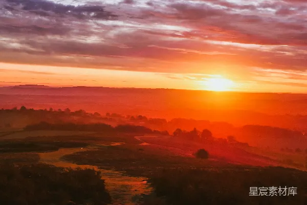 高清摄影 夕阳下的绿树与橙色的天空