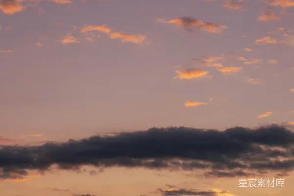 高清摄影 夕阳下的树影轮廓
