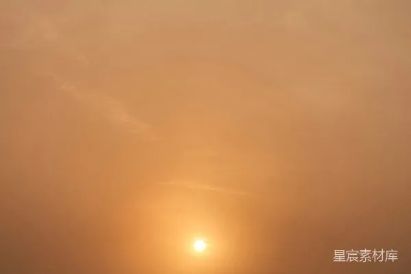 高清摄影 太阳透过树林间的雾气升起