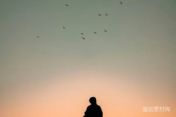 高清摄影 夕阳下骑马的人与天边的鸟儿在空中翱翔