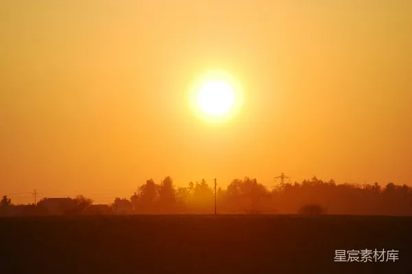 高清摄影 夕阳下树木的轮廓影子