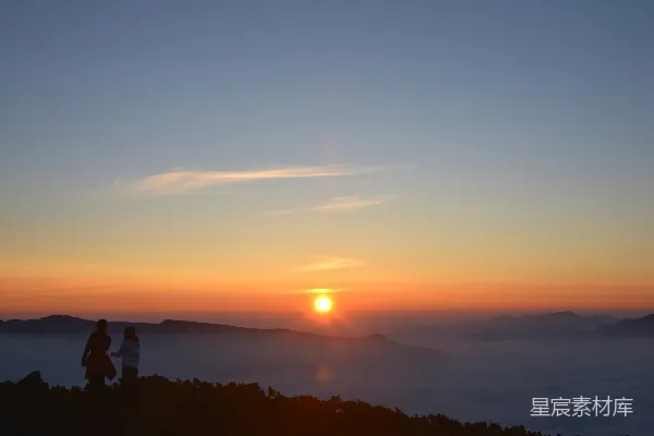 高清摄影 夕阳下的树影轮廓
