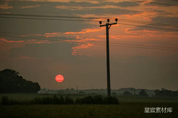高清摄影 夕阳映照着一片田地与电线杆。