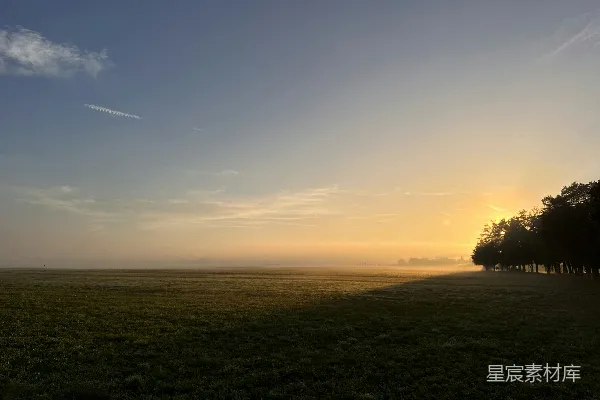 高清摄影 背景是夕阳下的草地和树木的绿色田野