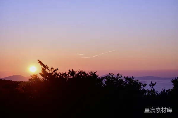 高清摄影 山树之间太阳正在落山