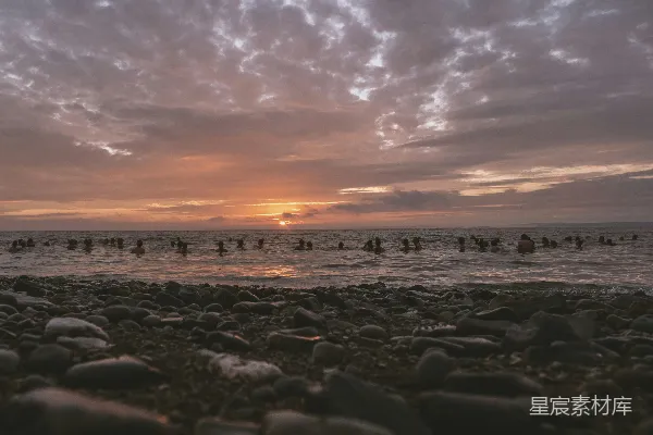 高清摄影 一群人在海边 sunset 游泳