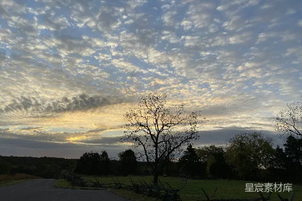 高清摄影 一条有树的道路和夕阳美景