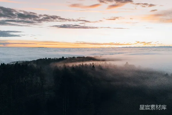 高清摄影 前景有树的山在一片雾气中的一处景色