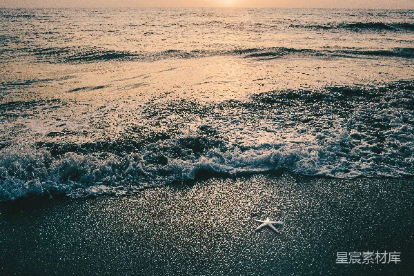 高清摄影 海浪在白天拍击海岸