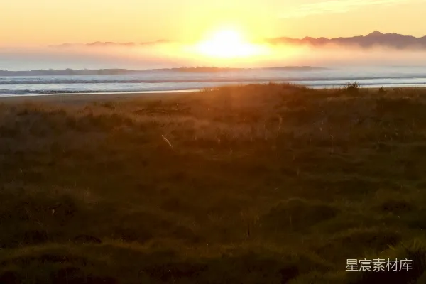 高清摄影 夕阳下绿草丛生的田野靠近水体