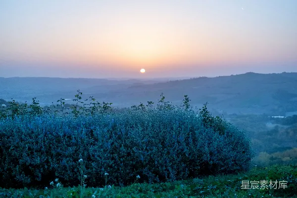 高清摄影 有树的风景与夕阳