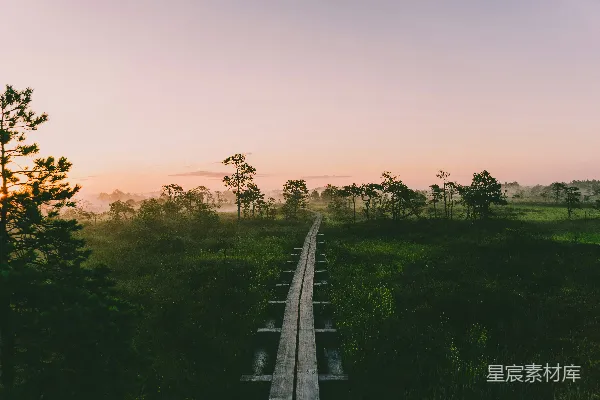 高清摄影 夕阳下灰色混凝土路旁的绿色草地