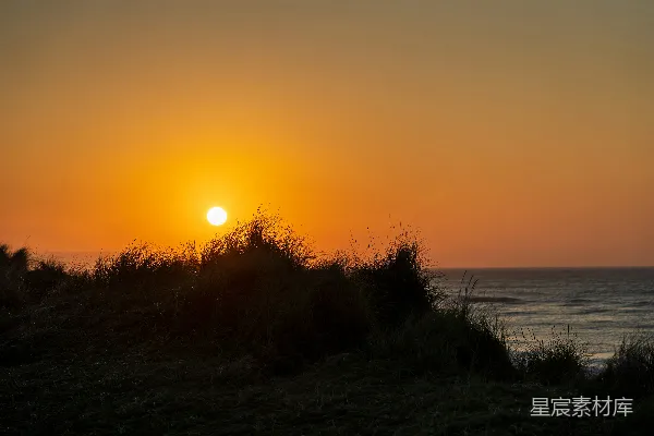 高清摄影 傍晚时分草地的轮廓靠近水面