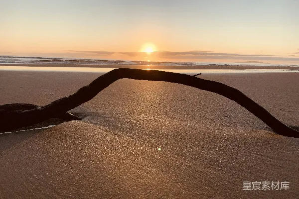 高清摄影 夕阳下的棕色沙海滩