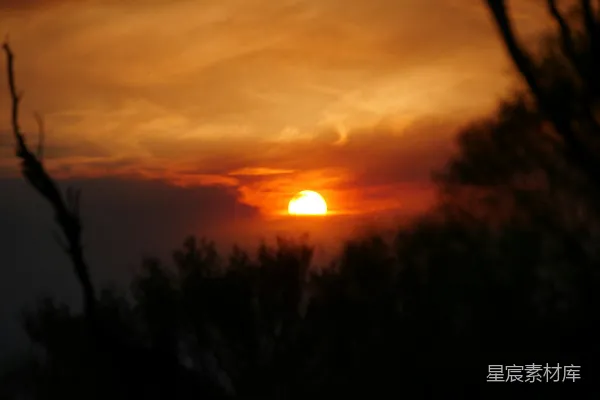 高清摄影 夕阳落在一些树后