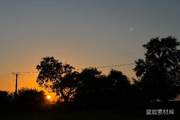 高清摄影 轮廓分明的树木和电线杆映衬在灿烂的夕阳天空中。