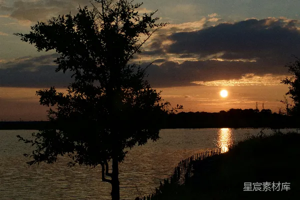 高清摄影 夕阳下树木的轮廓近水处
