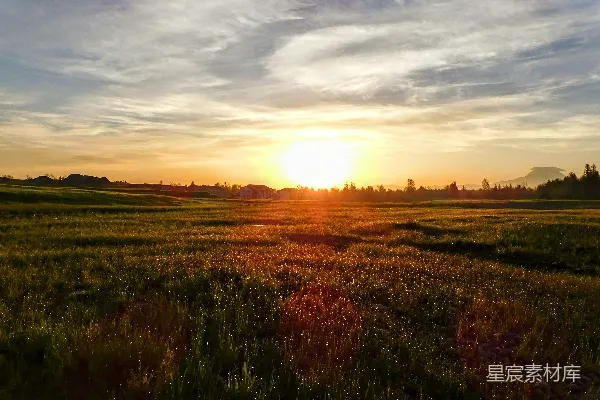 高清摄影 夕阳落在一片草地上方