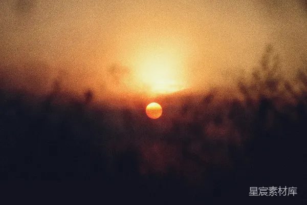 高清摄影 夕阳穿过一片模糊的暗绿色树林。