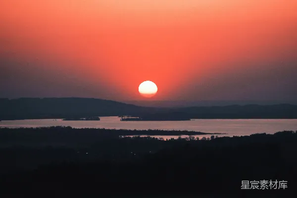 高清摄影 夕阳下树的剪影
