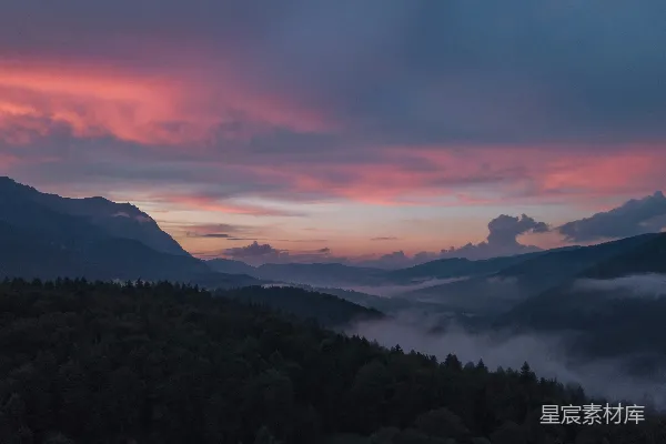高清摄影 夕阳下树的轮廓