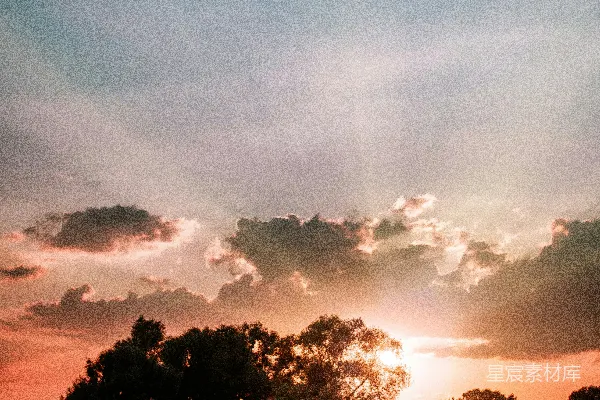 高清摄影 夕阳下的云雾中树木的轮廓