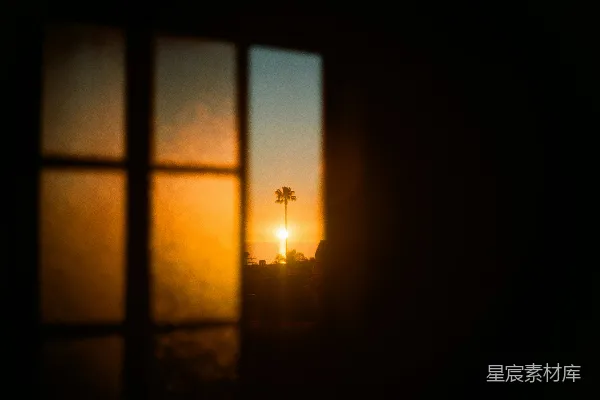 高清摄影 夕阳透过一扇窗，可以看到一棵棕榈树。