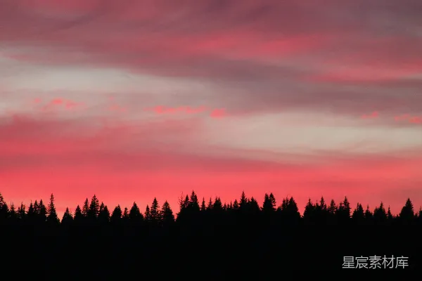 高清摄影 夕阳下的森林轮廓摄影