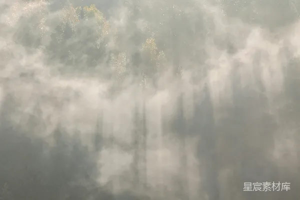 高清摄影 云层下的绿树 aerial摄影 星光或残晖