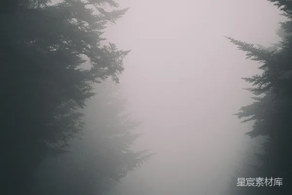 高清摄影 站在树旁的人