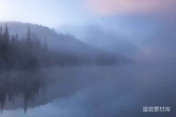 高清摄影 湖边有树木的雾气笼罩着的湖泊