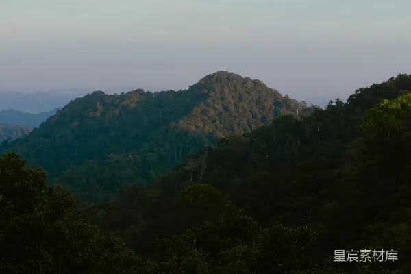 高清摄影 前景中有树木的山峦景色